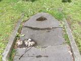 image of grave number 499082